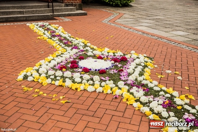 Zdjęcie w galerii na portalu naszraciborz.pl: Procesje Bożego Ciała w Raciborzu i okolicach wiadomości z regionu