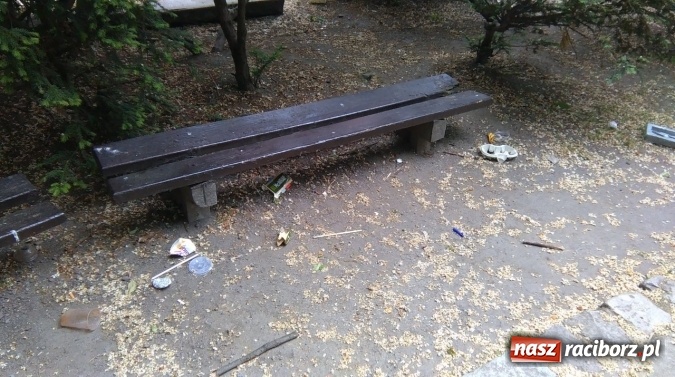 Zdjęcie w galerii na portalu naszraciborz.pl: To bulwersuje mieszkańców! Park Jordanowski – dlaczego nie jest zamykany na noc ani sprzątany po nocnych balangach wiadomości z regionu