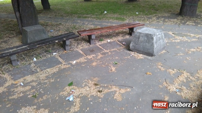 Zdjęcie w galerii na portalu naszraciborz.pl: To bulwersuje mieszkańców! Park Jordanowski – dlaczego nie jest zamykany na noc ani sprzątany po nocnych balangach wiadomości z regionu