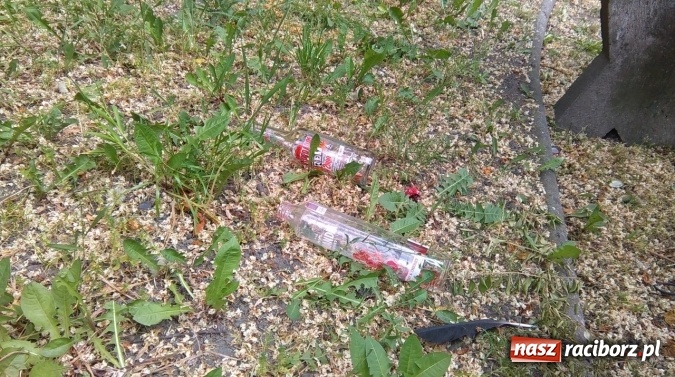 Zdjęcie w galerii na portalu naszraciborz.pl: To bulwersuje mieszkańców! Park Jordanowski – dlaczego nie jest zamykany na noc ani sprzątany po nocnych balangach wiadomości z regionu