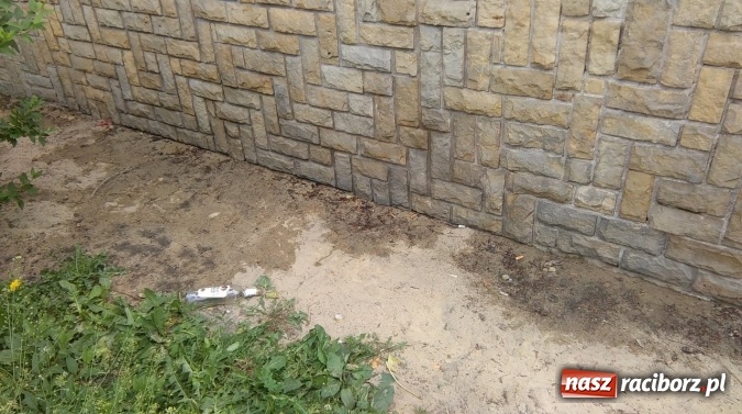 Zdjęcie w galerii na portalu naszraciborz.pl: To bulwersuje mieszkańców! Park Jordanowski – dlaczego nie jest zamykany na noc ani sprzątany po nocnych balangach wiadomości z regionu