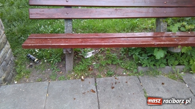 Zdjęcie w galerii na portalu naszraciborz.pl: To bulwersuje mieszkańców! Park Jordanowski – dlaczego nie jest zamykany na noc ani sprzątany po nocnych balangach wiadomości z regionu