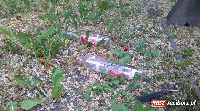 Zdjęcie w galerii na portalu naszraciborz.pl: To bulwersuje mieszkańców! Park Jordanowski – dlaczego nie jest zamykany na noc ani sprzątany po nocnych balangach wiadomości z regionu