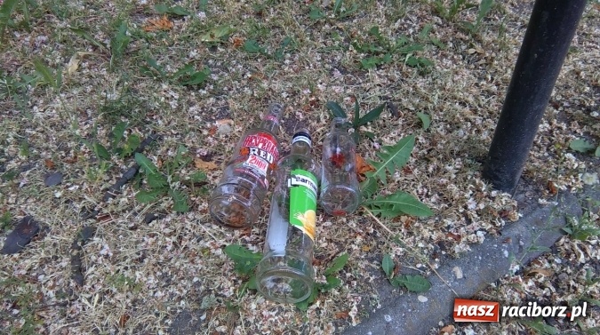 Zdjęcie w galerii na portalu naszraciborz.pl: To bulwersuje mieszkańców! Park Jordanowski – dlaczego nie jest zamykany na noc ani sprzątany po nocnych balangach wiadomości z regionu