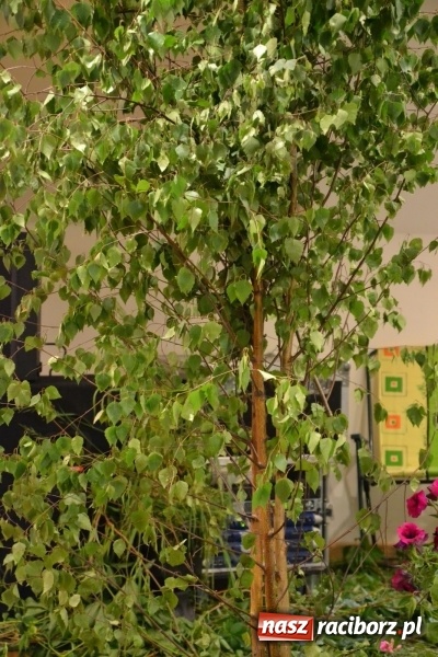 Zdjęcie w galerii na portalu naszraciborz.pl: Bukiety z kwiatów, wierszy, piosenek i życzeń dla Mamy i Taty - program rozrywkowy z okazji Dnia Matki i Ojca na zamku wiadomości z regionu