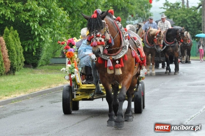 Zdjęcie w galerii na portalu naszraciborz.pl: Brzezie idzie w procesji na św. Urbana wiadomości z regionu