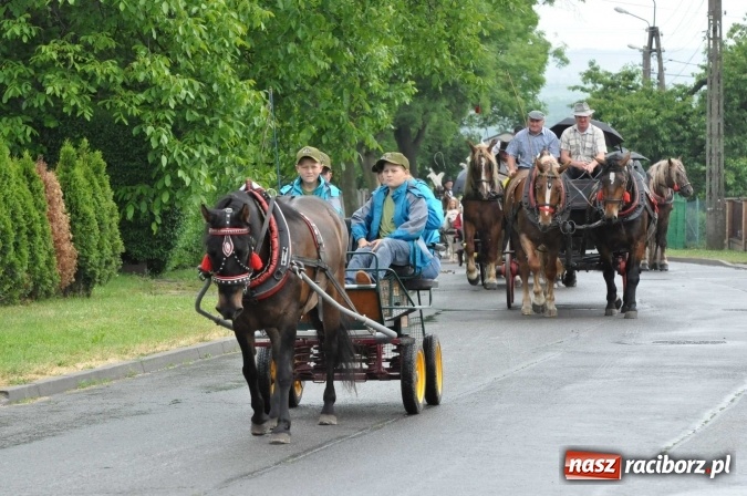 Zdjęcie w galerii na portalu naszraciborz.pl: Brzezie idzie w procesji na św. Urbana wiadomości z regionu
