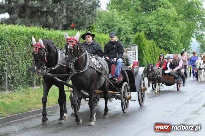 Zdjęcie w galerii na portalu naszraciborz.pl: Brzezie idzie w procesji na św. Urbana wiadomości z regionu