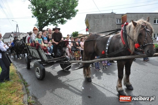 Zdjęcie w galerii na portalu naszraciborz.pl: Brzezie idzie w procesji na św. Urbana wiadomości z regionu