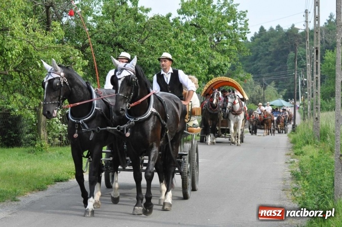 Zdjęcie w galerii na portalu naszraciborz.pl: Brzezie idzie w procesji na św. Urbana wiadomości z regionu