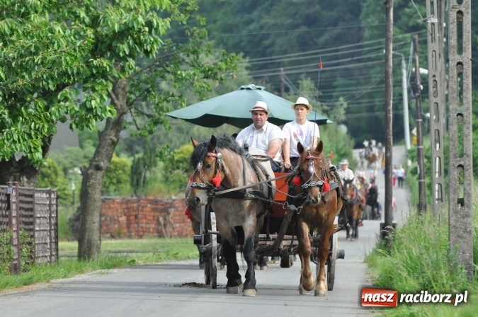 Zdjęcie w galerii na portalu naszraciborz.pl: Brzezie idzie w procesji na św. Urbana wiadomości z regionu