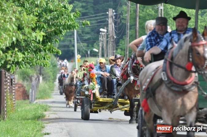 Zdjęcie w galerii na portalu naszraciborz.pl: Brzezie idzie w procesji na św. Urbana wiadomości z regionu