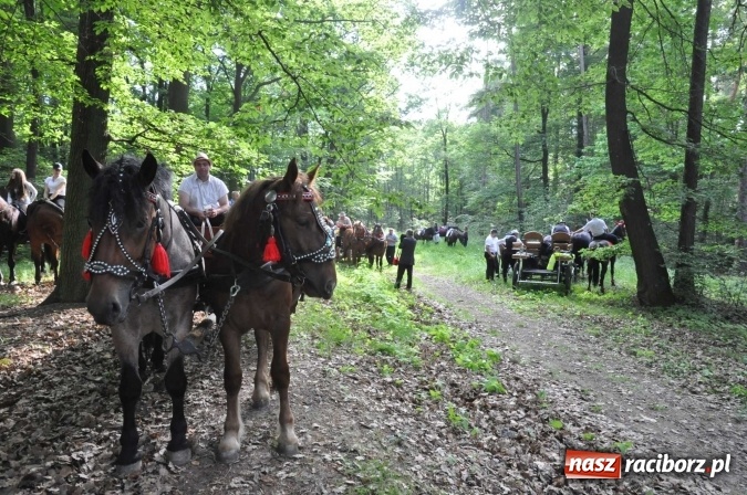 Zdjęcie w galerii na portalu naszraciborz.pl: Brzezie idzie w procesji na św. Urbana wiadomości z regionu