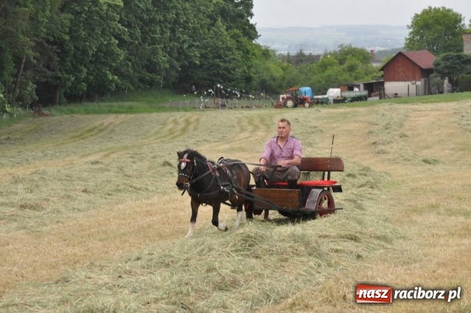 Zdjęcie w galerii na portalu naszraciborz.pl: Brzezie idzie w procesji na św. Urbana wiadomości z regionu