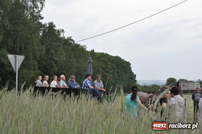 Zdjęcie w galerii na portalu naszraciborz.pl: Brzezie idzie w procesji na św. Urbana wiadomości z regionu