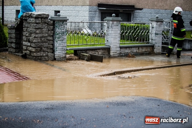Zdjęcie w galerii na portalu naszraciborz.pl: Po burzach strażacy mieli pełne ręce roboty  wiadomości z regionu