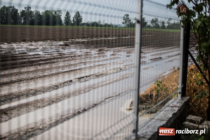 Zdjęcie w galerii na portalu naszraciborz.pl: Po burzach strażacy mieli pełne ręce roboty  wiadomości z regionu