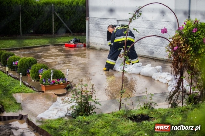 Zdjęcie w galerii na portalu naszraciborz.pl: Po burzach strażacy mieli pełne ręce roboty  wiadomości z regionu