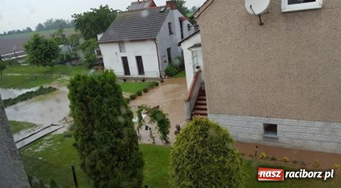 Zdjęcie w galerii na portalu naszraciborz.pl: Po burzach strażacy mieli pełne ręce roboty  wiadomości z regionu