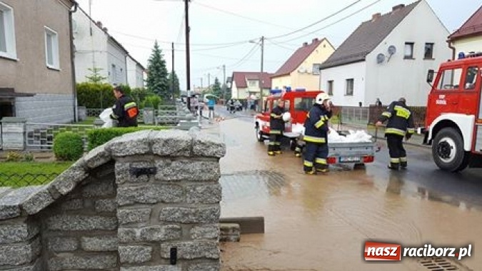 Zdjęcie w galerii na portalu naszraciborz.pl: Po burzach strażacy mieli pełne ręce roboty  wiadomości z regionu