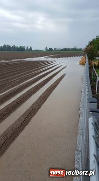 Zdjęcie w galerii na portalu naszraciborz.pl: Po burzach strażacy mieli pełne ręce roboty  wiadomości z regionu