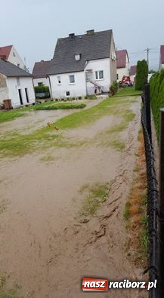 Zdjęcie w galerii na portalu naszraciborz.pl: Po burzach strażacy mieli pełne ręce roboty  wiadomości z regionu