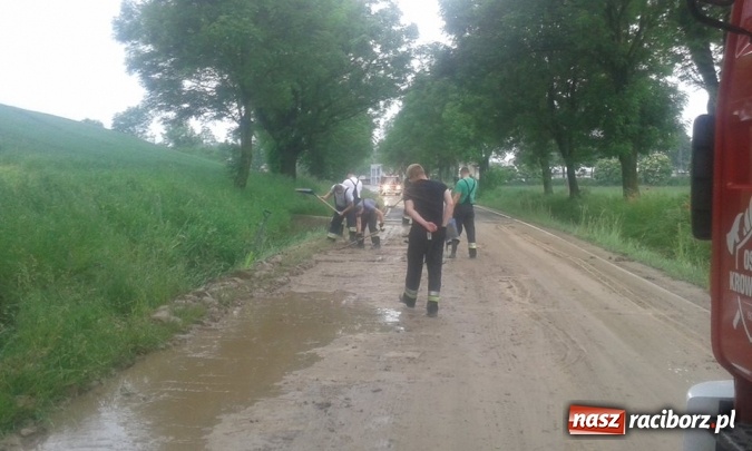 Zdjęcie w galerii na portalu naszraciborz.pl: Po burzach strażacy mieli pełne ręce roboty  wiadomości z regionu