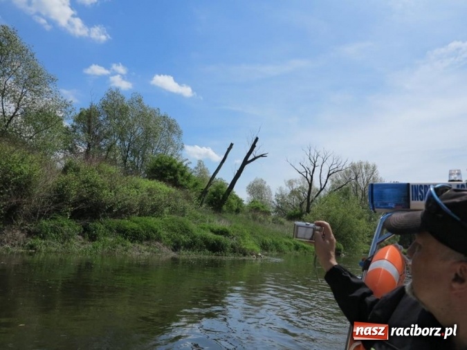Zdjęcie w galerii na portalu naszraciborz.pl: Zbadano koryto rzeczne od Raciborza do Łubowic. Popłynie tędy tramwaj wodny wiadomości z regionu