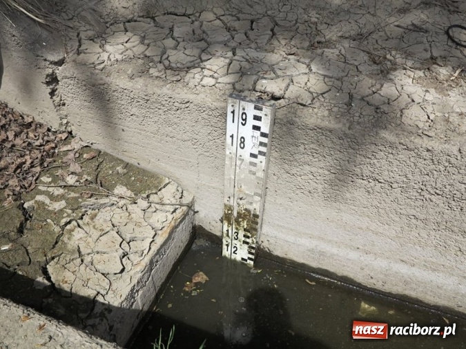 Zdjęcie w galerii na portalu naszraciborz.pl: Zbadano koryto rzeczne od Raciborza do Łubowic. Popłynie tędy tramwaj wodny wiadomości z regionu