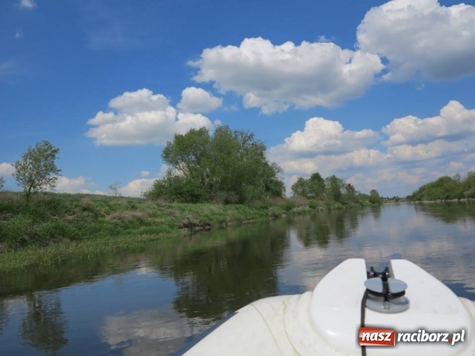 Zdjęcie w galerii na portalu naszraciborz.pl: Zbadano koryto rzeczne od Raciborza do Łubowic. Popłynie tędy tramwaj wodny wiadomości z regionu