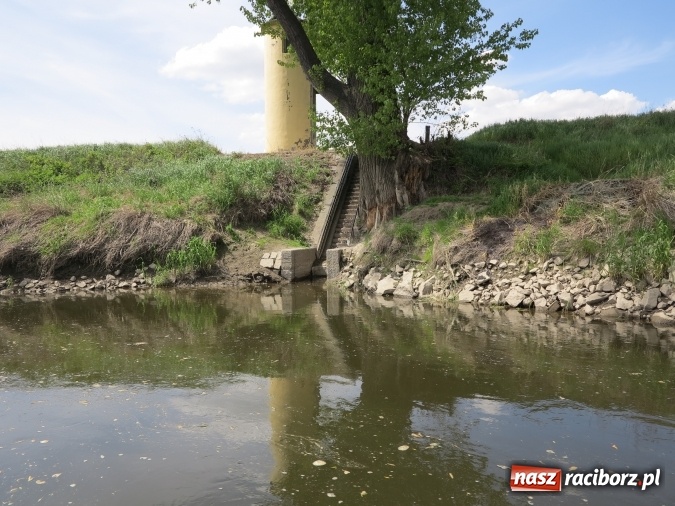 Zdjęcie w galerii na portalu naszraciborz.pl: Zbadano koryto rzeczne od Raciborza do Łubowic. Popłynie tędy tramwaj wodny wiadomości z regionu