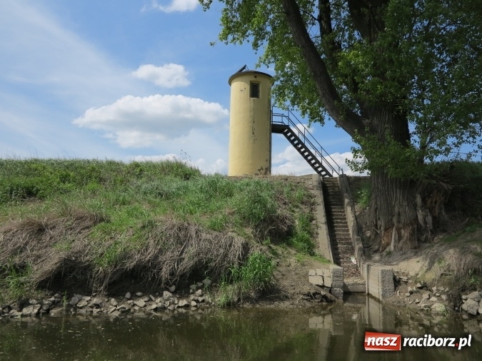 Zdjęcie w galerii na portalu naszraciborz.pl: Zbadano koryto rzeczne od Raciborza do Łubowic. Popłynie tędy tramwaj wodny wiadomości z regionu