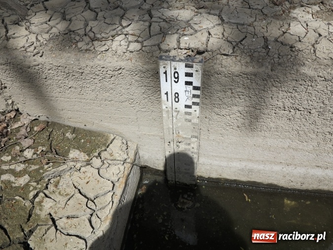 Zdjęcie w galerii na portalu naszraciborz.pl: Zbadano koryto rzeczne od Raciborza do Łubowic. Popłynie tędy tramwaj wodny wiadomości z regionu