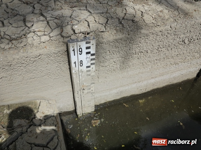 Zdjęcie w galerii na portalu naszraciborz.pl: Zbadano koryto rzeczne od Raciborza do Łubowic. Popłynie tędy tramwaj wodny wiadomości z regionu