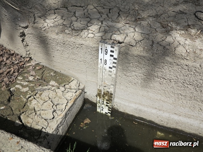 Zdjęcie w galerii na portalu naszraciborz.pl: Zbadano koryto rzeczne od Raciborza do Łubowic. Popłynie tędy tramwaj wodny wiadomości z regionu