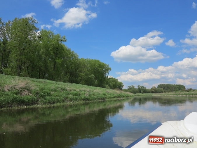 Zdjęcie w galerii na portalu naszraciborz.pl: Zbadano koryto rzeczne od Raciborza do Łubowic. Popłynie tędy tramwaj wodny wiadomości z regionu