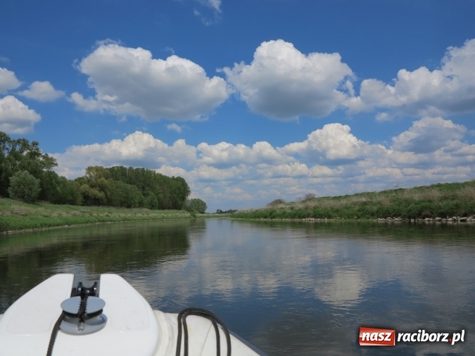 Zdjęcie w galerii na portalu naszraciborz.pl: Zbadano koryto rzeczne od Raciborza do Łubowic. Popłynie tędy tramwaj wodny wiadomości z regionu