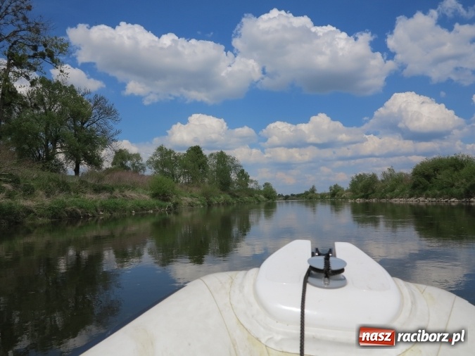Zdjęcie w galerii na portalu naszraciborz.pl: Zbadano koryto rzeczne od Raciborza do Łubowic. Popłynie tędy tramwaj wodny wiadomości z regionu