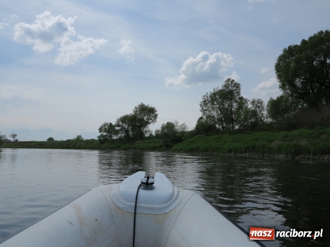 Zdjęcie w galerii na portalu naszraciborz.pl: Zbadano koryto rzeczne od Raciborza do Łubowic. Popłynie tędy tramwaj wodny wiadomości z regionu