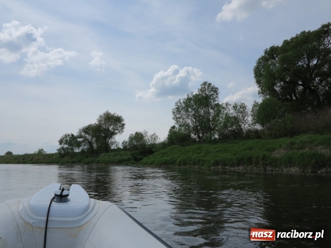 Zdjęcie w galerii na portalu naszraciborz.pl: Zbadano koryto rzeczne od Raciborza do Łubowic. Popłynie tędy tramwaj wodny wiadomości z regionu