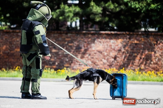 Zdjęcie w galerii na portalu naszraciborz.pl: Straż Graniczna od kuchni, czyli Dzień Otwartych Koszar wiadomości z regionu