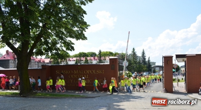 Zdjęcie w galerii na portalu naszraciborz.pl: Straż Graniczna od kuchni, czyli Dzień Otwartych Koszar wiadomości z regionu