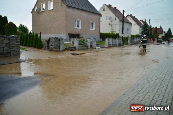 Zdjęcie w galerii na portalu naszraciborz.pl: Popadało i znów Sobieskiego zalana. Mieszkańcy pozdrawiają władze miasta wiadomości z regionu