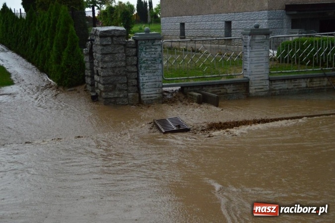 Zdjęcie w galerii na portalu naszraciborz.pl: Popadało i znów Sobieskiego zalana. Mieszkańcy pozdrawiają władze miasta wiadomości z regionu