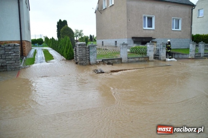 Zdjęcie w galerii na portalu naszraciborz.pl: Popadało i znów Sobieskiego zalana. Mieszkańcy pozdrawiają władze miasta wiadomości z regionu