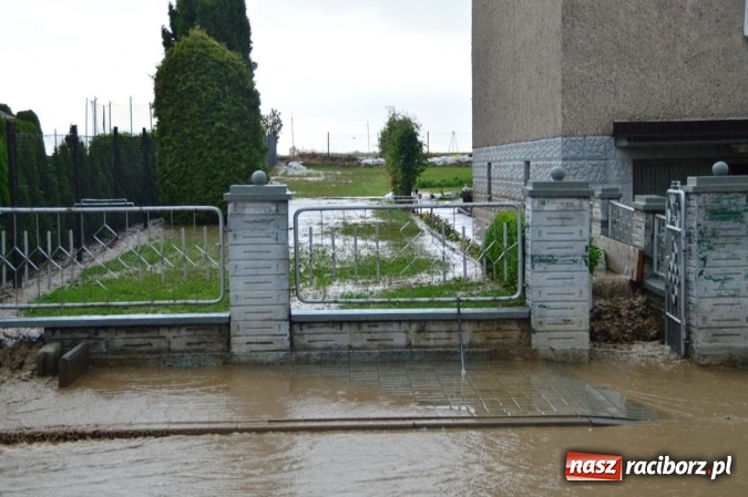 Zdjęcie w galerii na portalu naszraciborz.pl: Popadało i znów Sobieskiego zalana. Mieszkańcy pozdrawiają władze miasta wiadomości z regionu