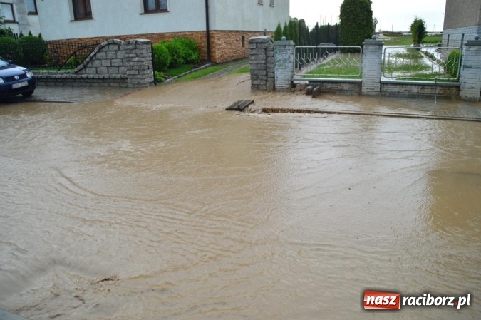 Zdjęcie w galerii na portalu naszraciborz.pl: Popadało i znów Sobieskiego zalana. Mieszkańcy pozdrawiają władze miasta wiadomości z regionu