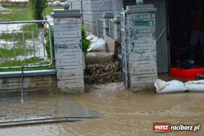 Zdjęcie w galerii na portalu naszraciborz.pl: Popadało i znów Sobieskiego zalana. Mieszkańcy pozdrawiają władze miasta wiadomości z regionu