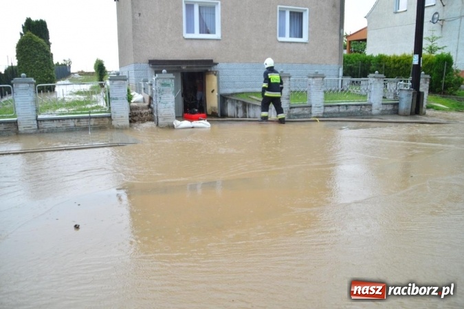 Zdjęcie w galerii na portalu naszraciborz.pl: Popadało i znów Sobieskiego zalana. Mieszkańcy pozdrawiają władze miasta wiadomości z regionu
