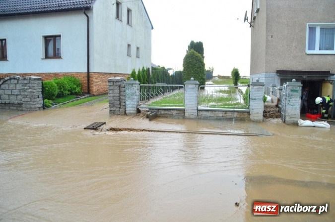 Zdjęcie w galerii na portalu naszraciborz.pl: Popadało i znów Sobieskiego zalana. Mieszkańcy pozdrawiają władze miasta wiadomości z regionu